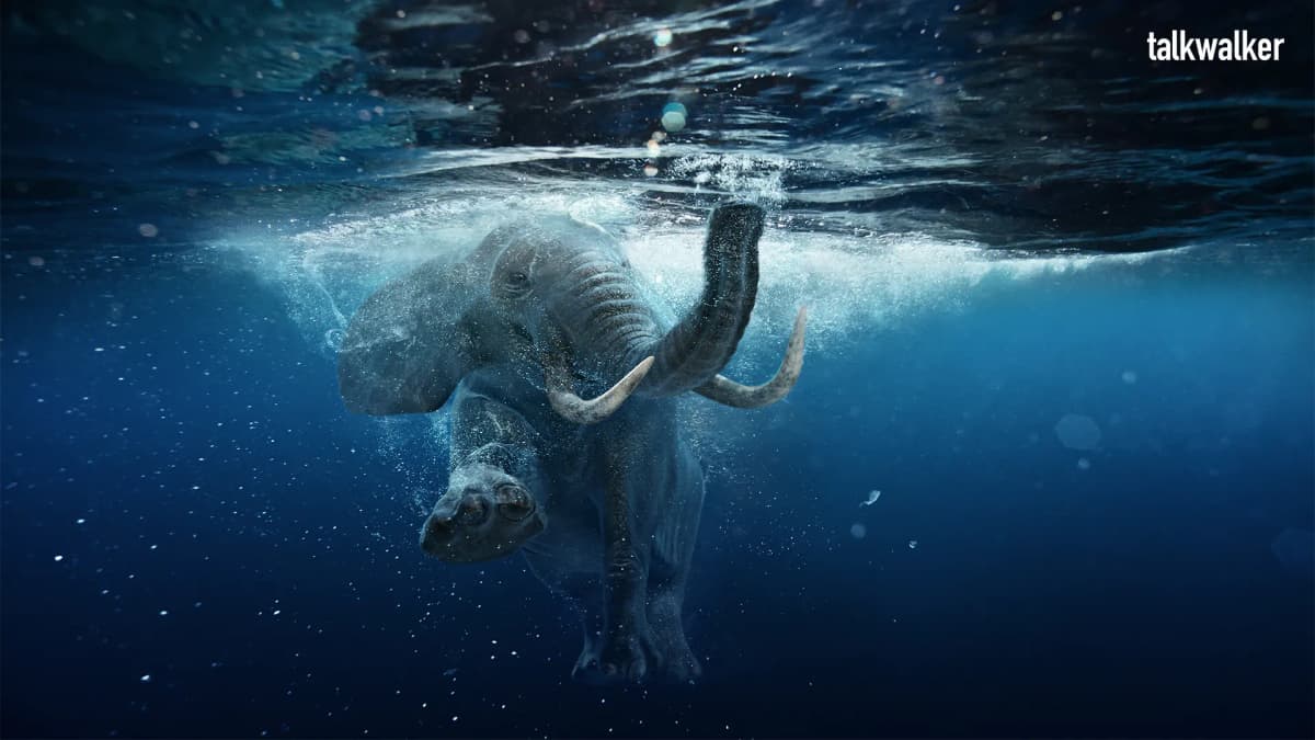 Featured image for The social media strategy templates to make your year epic