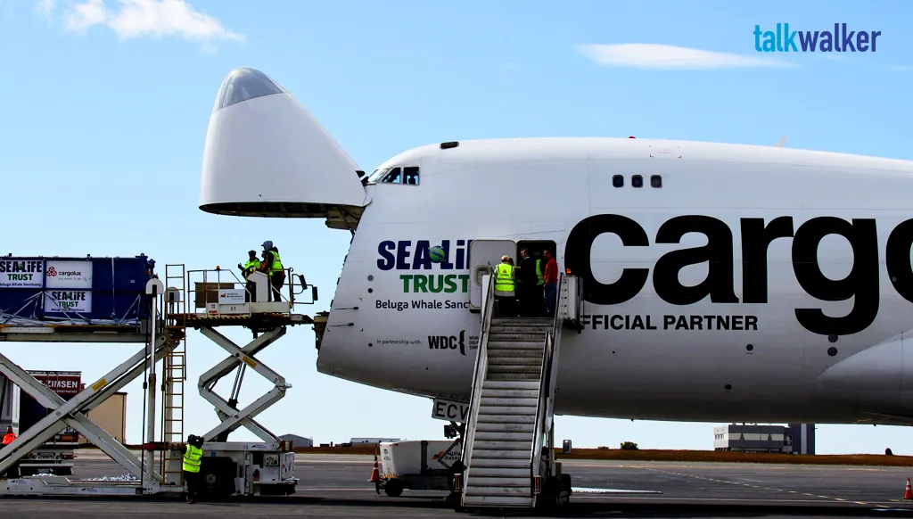Featured image for How Cargolux measured the splash from a whale of a sponsorship