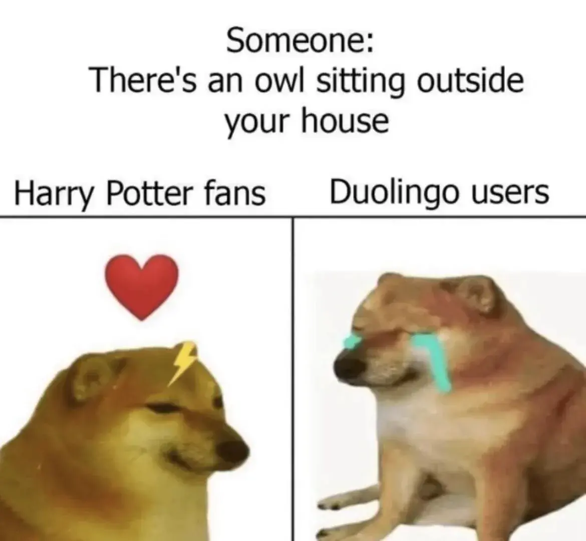 A meme that reads "Someone: There